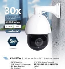 5 MP 3.6mm Lens IP Dome Kamera,Warmlight Starlight