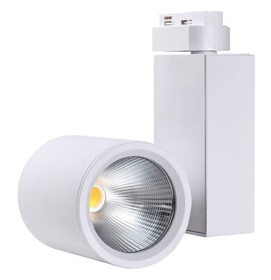 LR467 N 30W Led Ray spot 4000K Beyaz