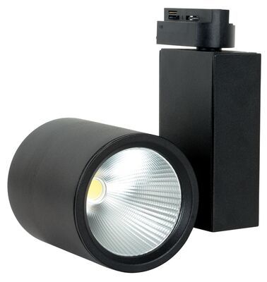 LR466 N 30W Led Ray spot 4000K Siyah